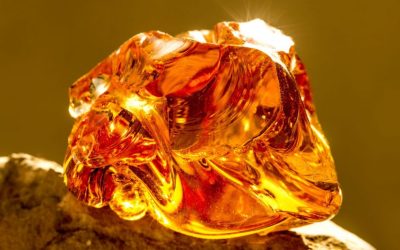 Amber. A golden thief or precious kaszëbsczi?