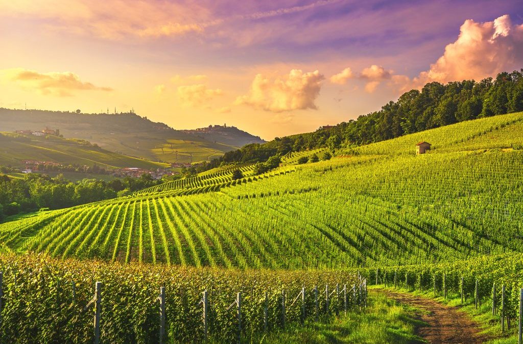 Top 4 famous vineyards in Italy