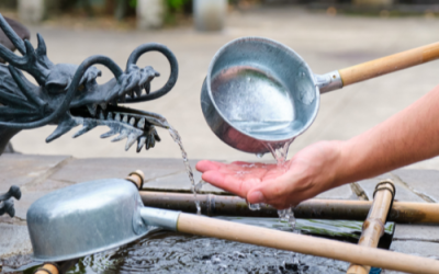 Japanese Trends in Ecology and the Secret of Japanese Cleanliness Culture