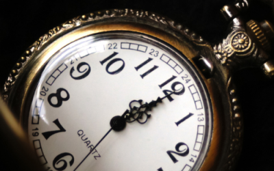 Embark on a Time-Telling Adventure with the Top 5 Watches of 2024